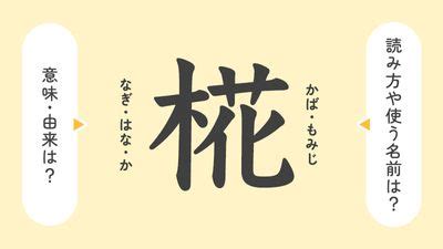 璦 人名|「椛」の意味や由来は？名前に込められる思いや名付けの例を紹。